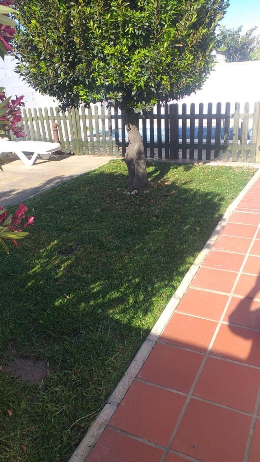 Bellavista De Conil Villa Conil De La Frontera Eksteriør bilde